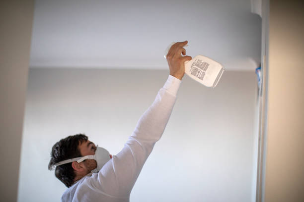 Best Health and Safety Mold Remediation in Carrizo Hill, TX